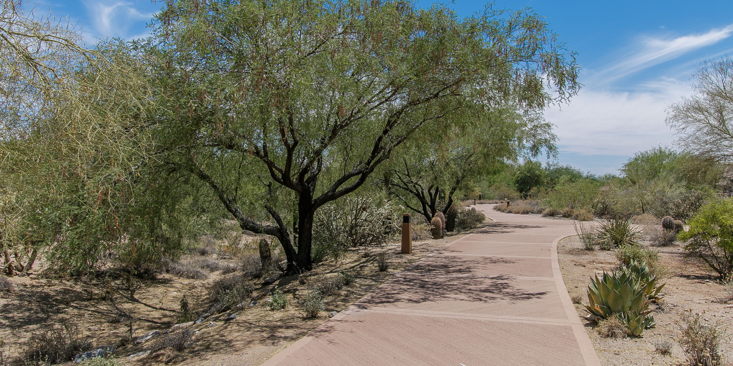 G) WALKING PATHS